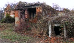 Šnjegavić,novembar 045