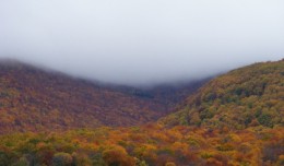 Šnjegavić,novembar 081